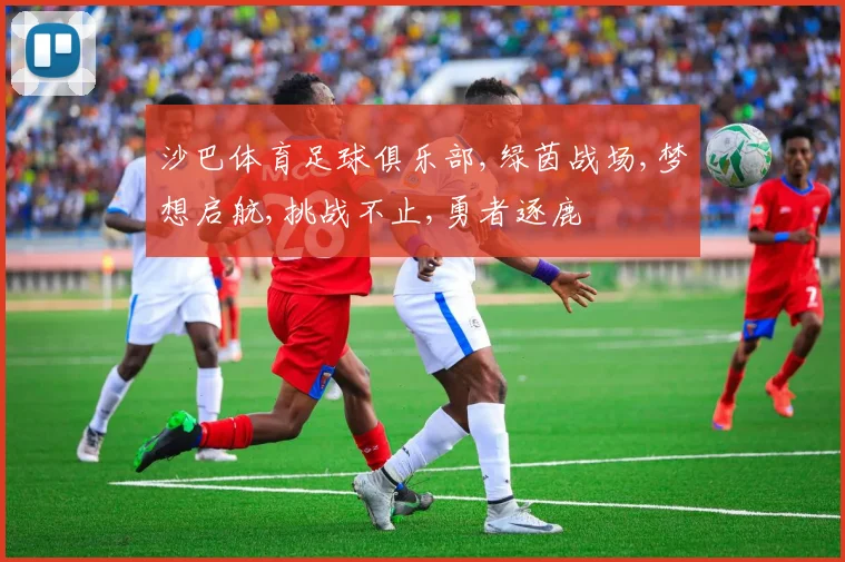 沙巴体育足球俱乐部,绿茵战场,梦想启航,挑战不止,勇者逐鹿